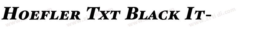 Hoefler Txt Black It字体转换